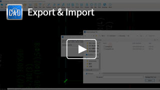 Export & Import